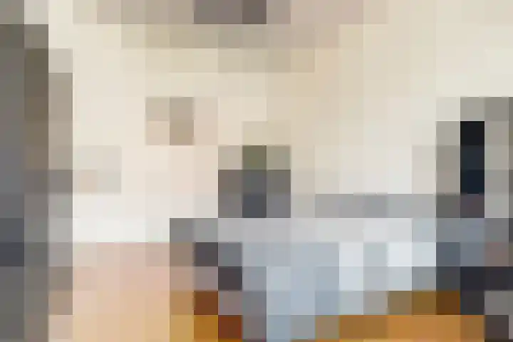 Julianalaan 90 Delft thumbnail 5