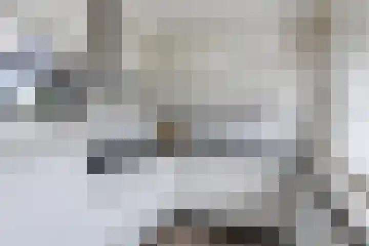 Julianalaan 90 Oss thumbnail 18
