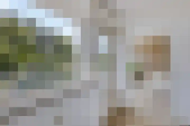 Julianalaan 90 Oss thumbnail 19