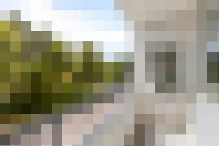 Julianalaan 90 Oss thumbnail 20