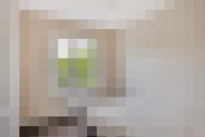 Julianalaan 90 Oss thumbnail 22