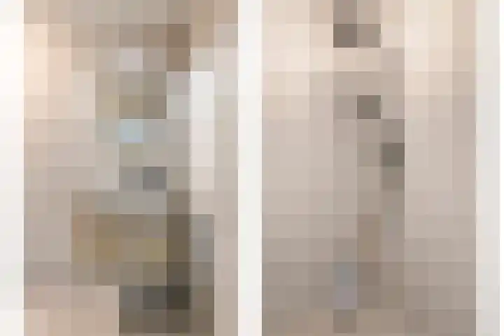 Julianalaan 90 Oss thumbnail 25