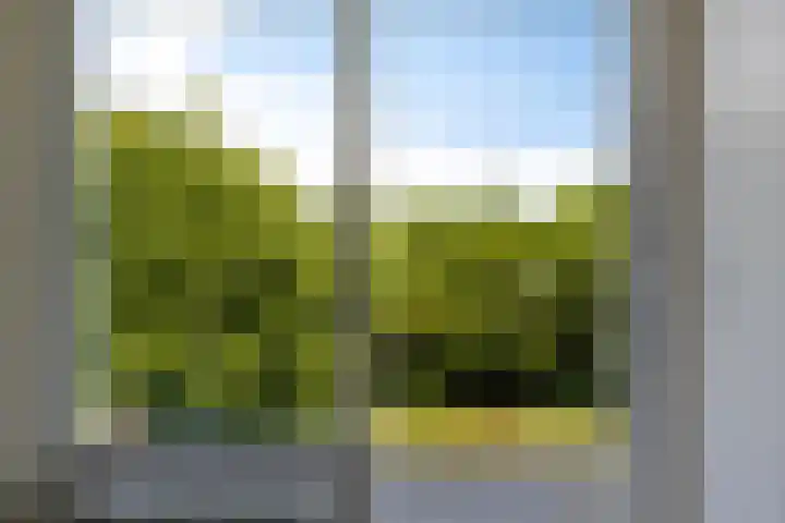 Julianalaan 90 Oss thumbnail 28
