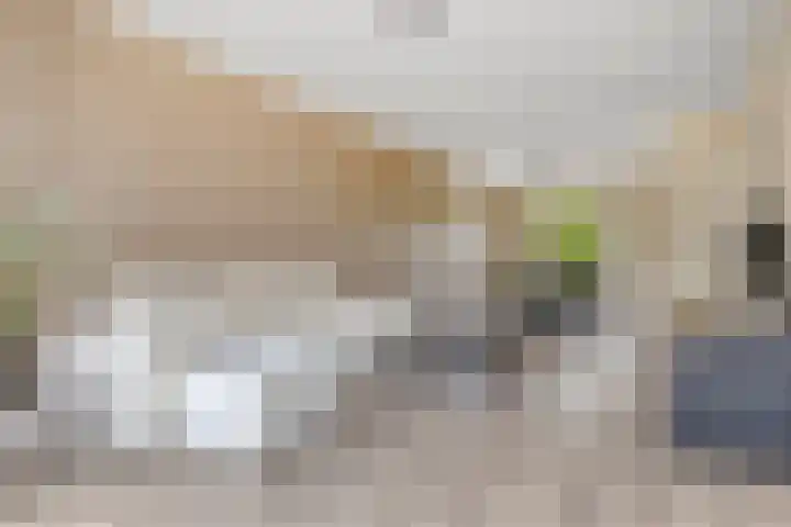 Julianalaan 90 Oss thumbnail 41