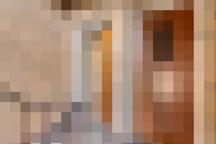 Julianalaan 90 Oss thumbnail 8
