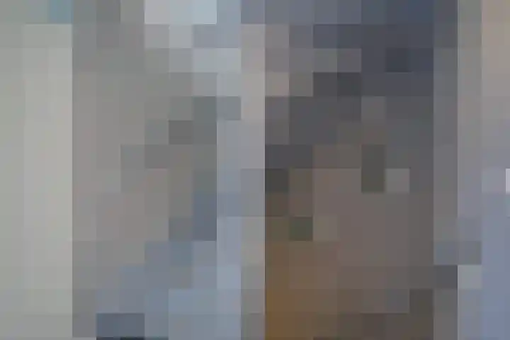 Julianalaan 91 Hoevelaken thumbnail 16