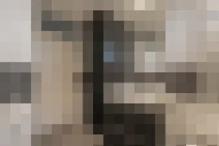 Julianalaan 91 Hoevelaken thumbnail 27