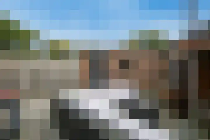 Julianalaan 91 Hoevelaken thumbnail 38