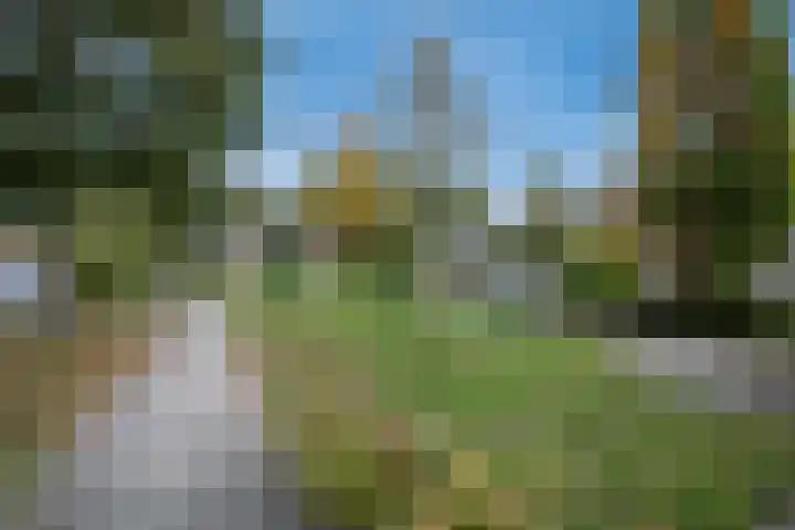 Julianalaan 91 Hoevelaken thumbnail 42