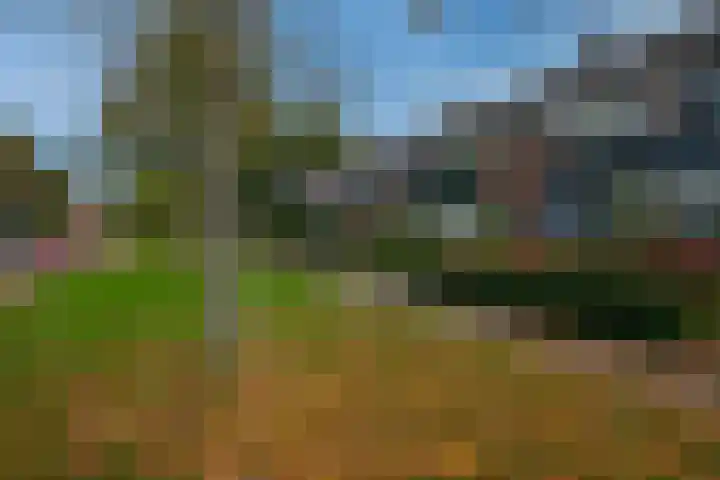 Julianalaan 91 Hoevelaken thumbnail 47
