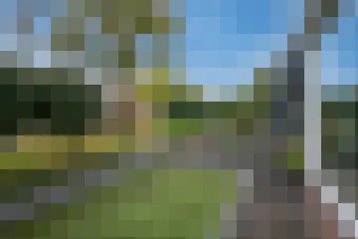 Julianalaan 91 Hoevelaken thumbnail 49