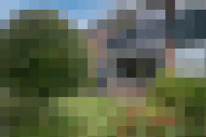 Julianalaan 91 Hoevelaken thumbnail 51