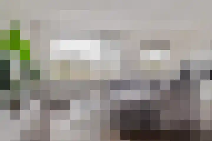 Julianalaan 93 c Leeuwarden thumbnail 12