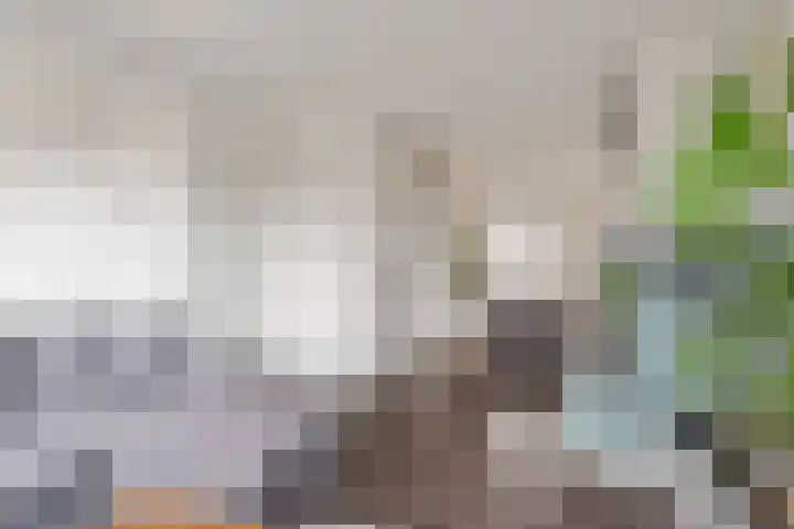 Julianalaan 93 c Leeuwarden thumbnail 14