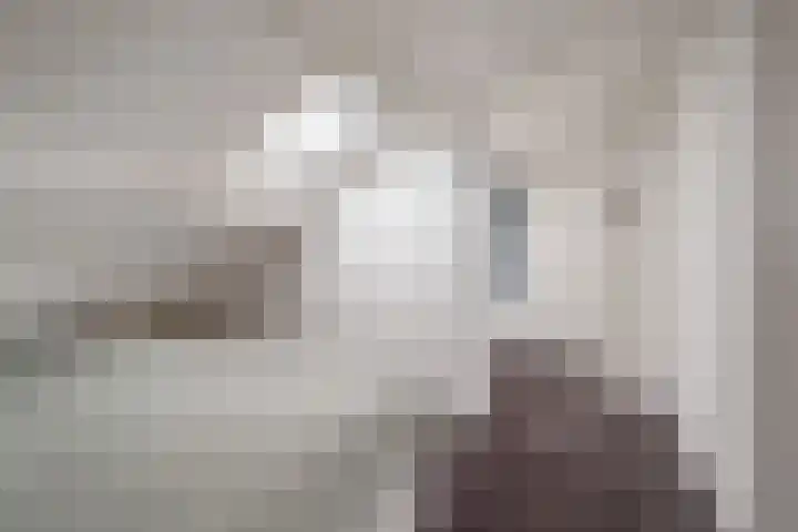 Julianalaan 93 c Leeuwarden thumbnail 32