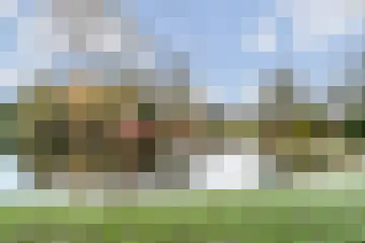 Julianalaan 93 c Leeuwarden thumbnail 36