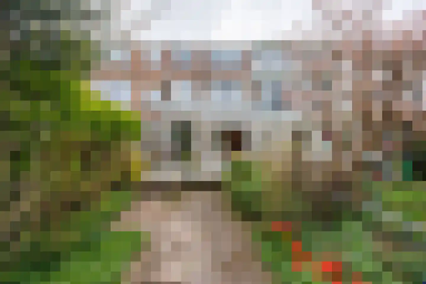 Julianalaan 93 Delft thumbnail 28