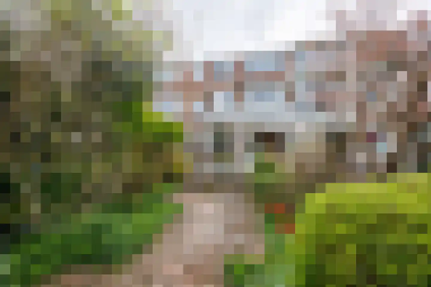 Julianalaan 93 Delft thumbnail 29