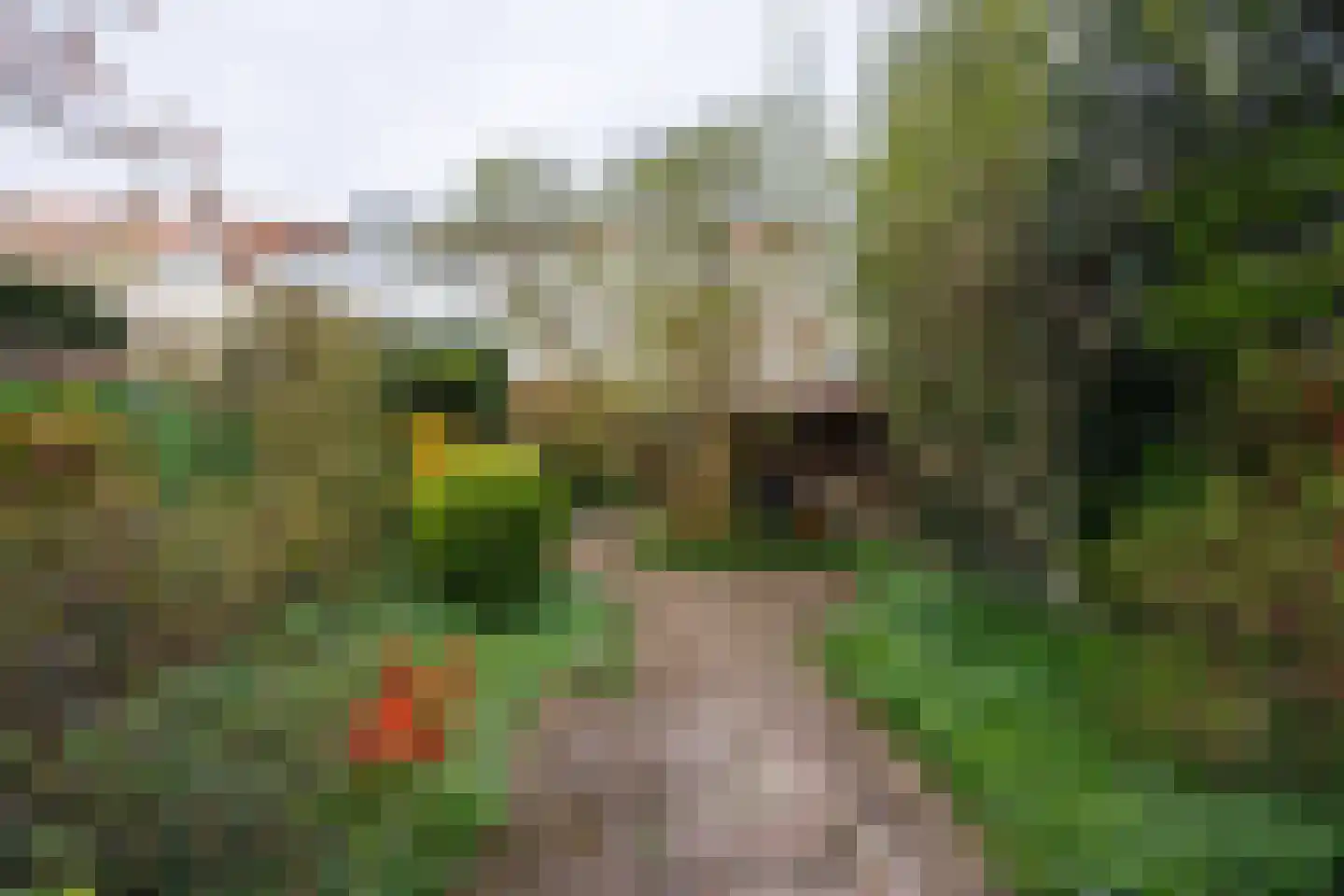 Julianalaan 93 Delft thumbnail 31