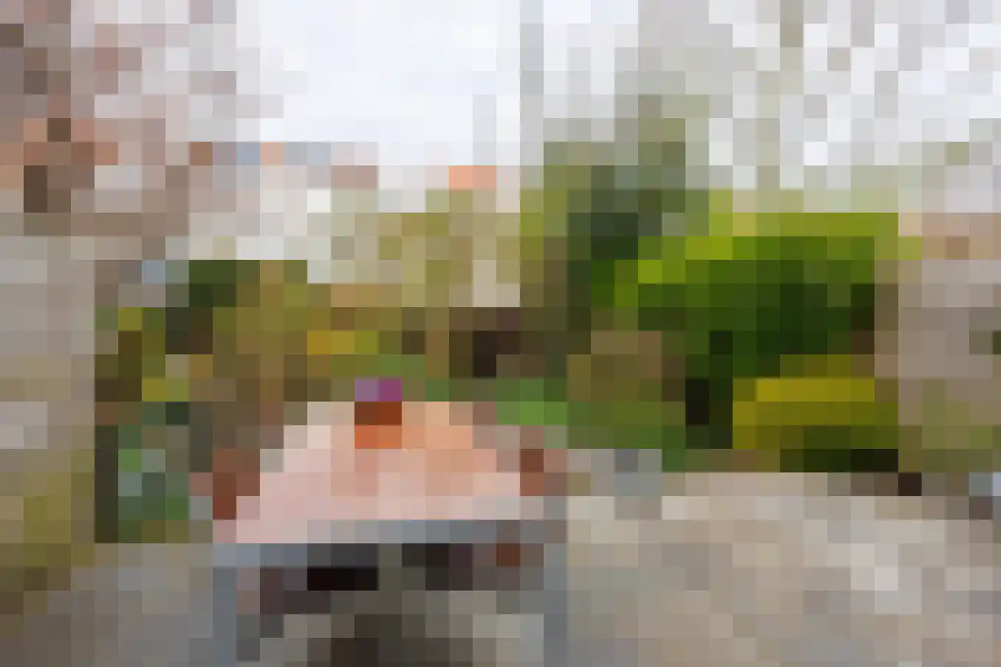 Julianalaan 93 Delft thumbnail 32