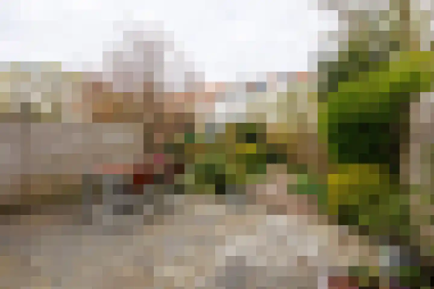 Julianalaan 93 Delft thumbnail 33