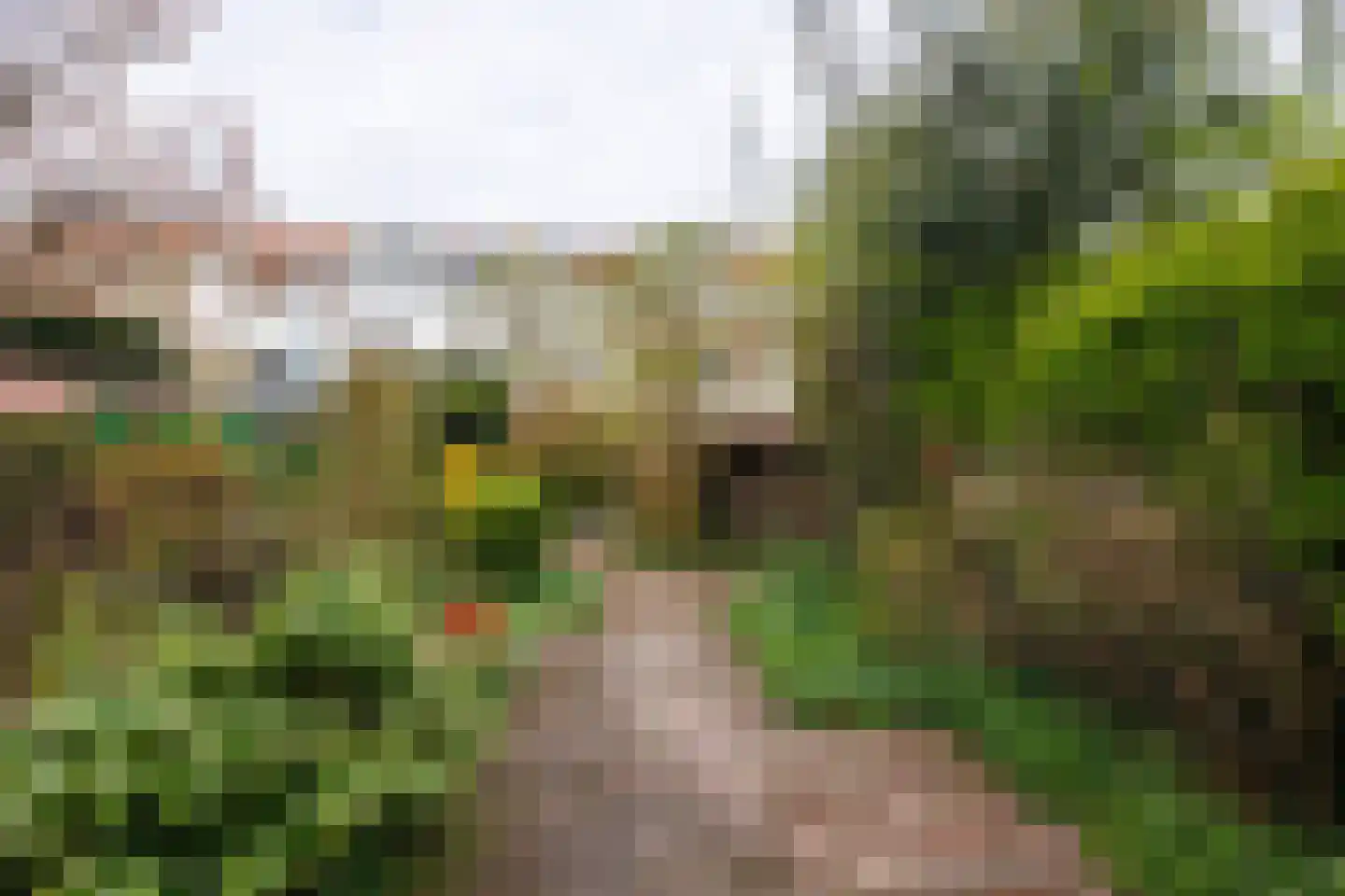 Julianalaan 93 Delft thumbnail 34