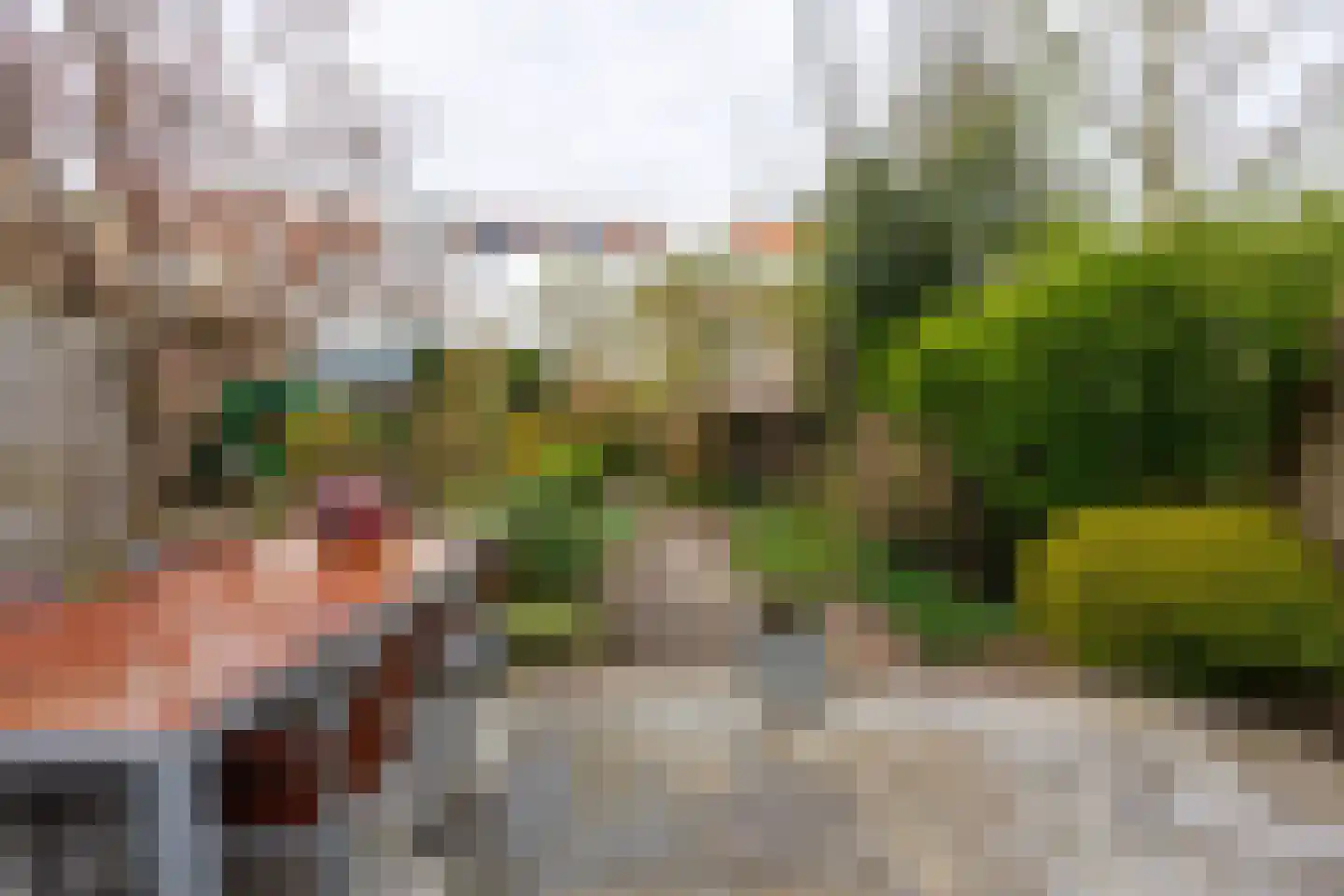 Julianalaan 93 Delft thumbnail 35