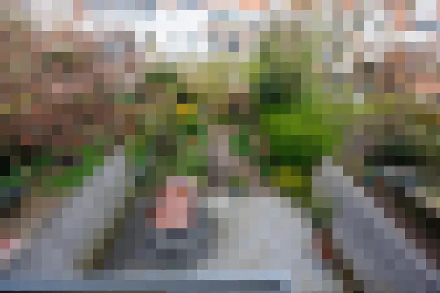 Julianalaan 93 Delft thumbnail 52