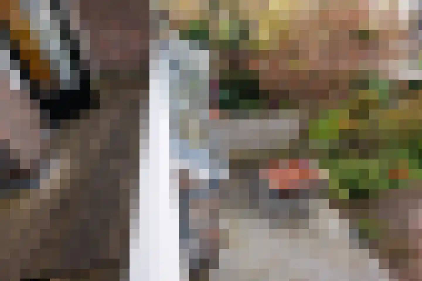 Julianalaan 93 Delft thumbnail 53
