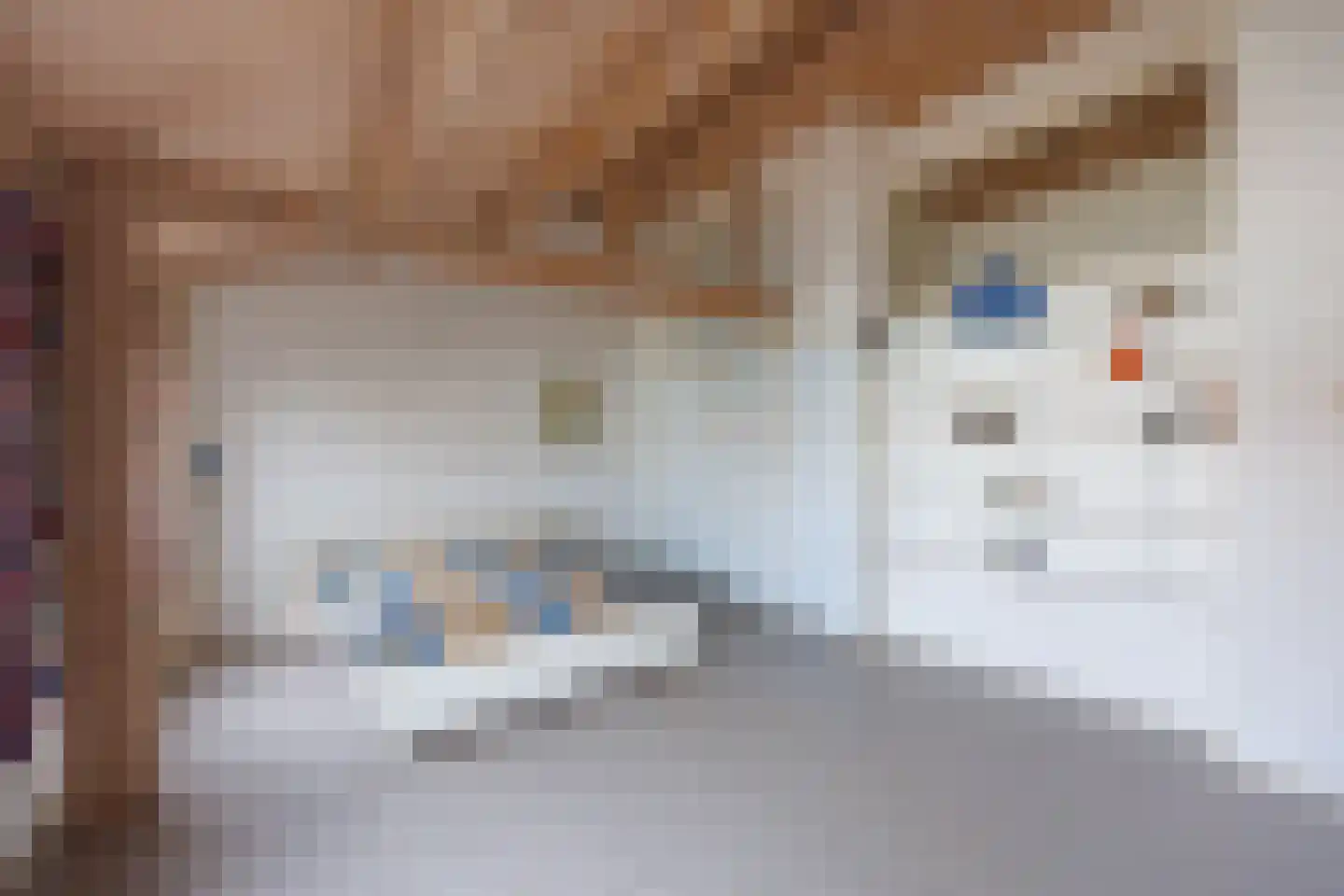 Julianalaan 93 Delft thumbnail 61