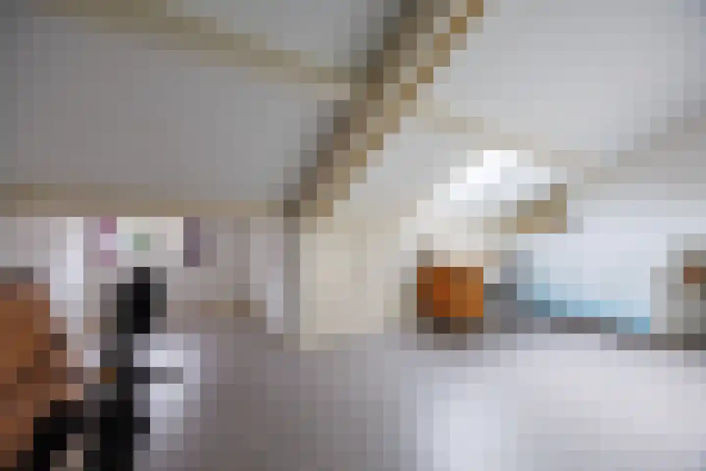 Julianalaan 93 Delft thumbnail 63
