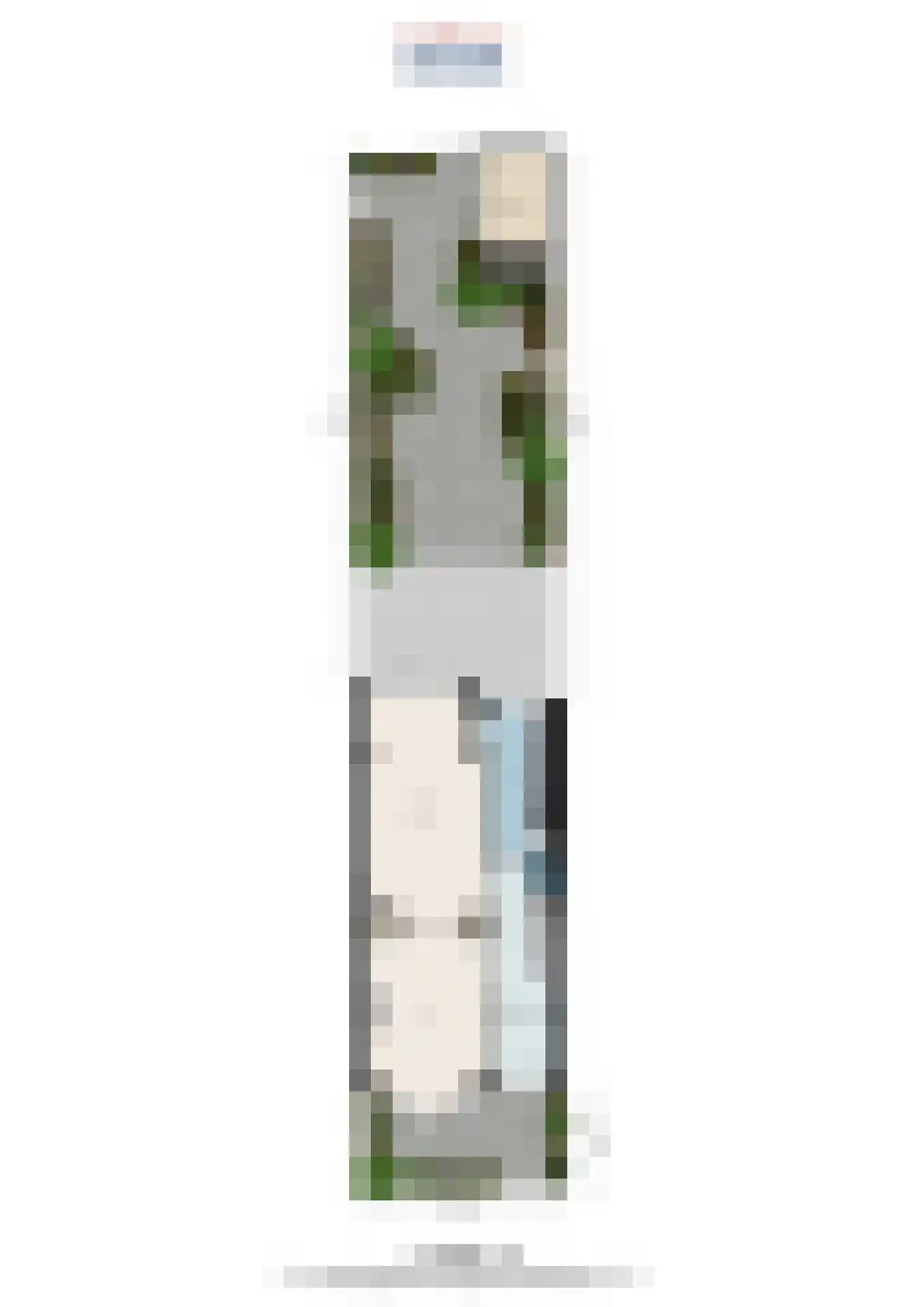 Julianalaan 93 Delft thumbnail 73