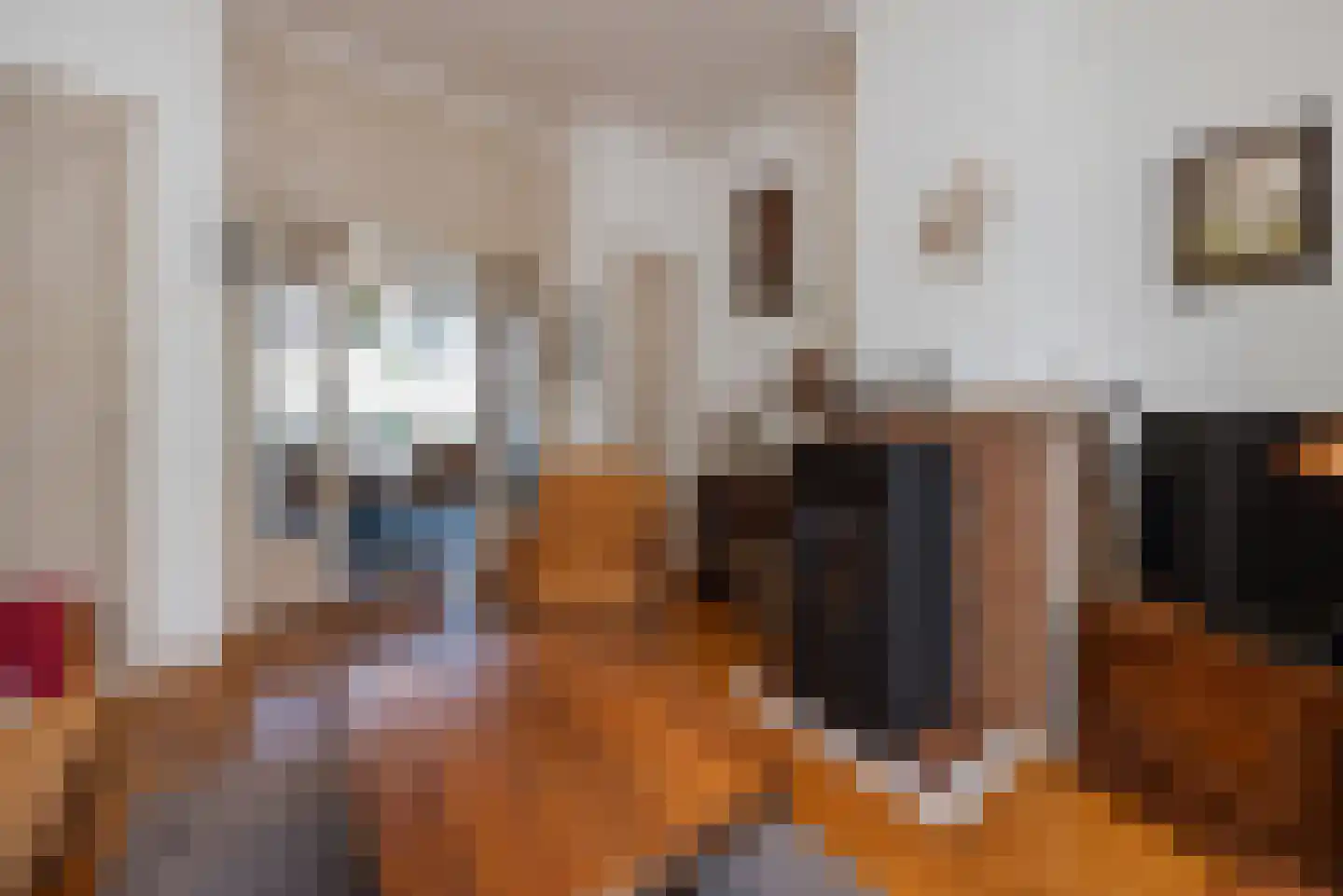 Julianalaan 93 Raamsdonksveer thumbnail 17