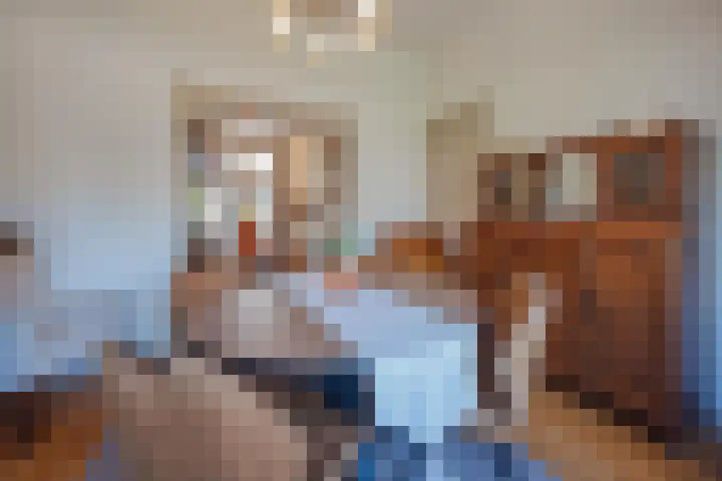Julianalaan 93 Raamsdonksveer thumbnail 19