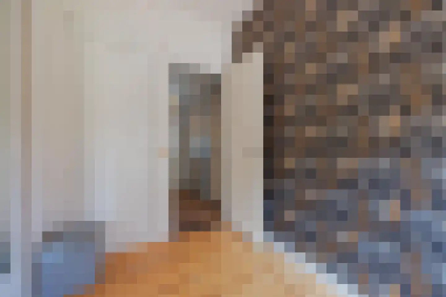 Julianalaan 93 Raamsdonksveer thumbnail 29