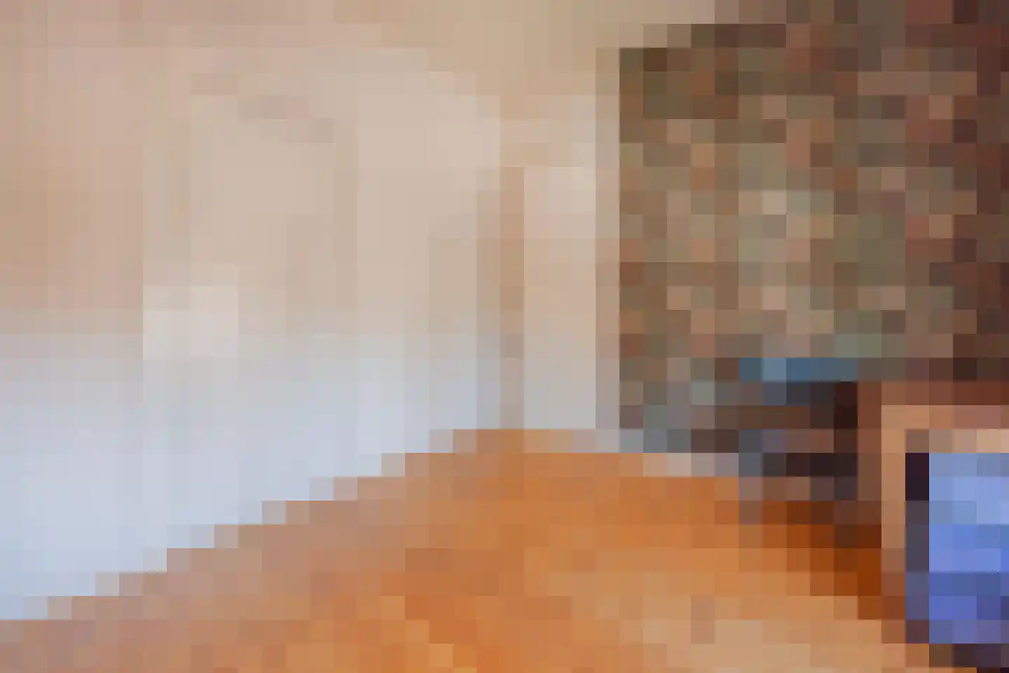Julianalaan 93 Raamsdonksveer thumbnail 31