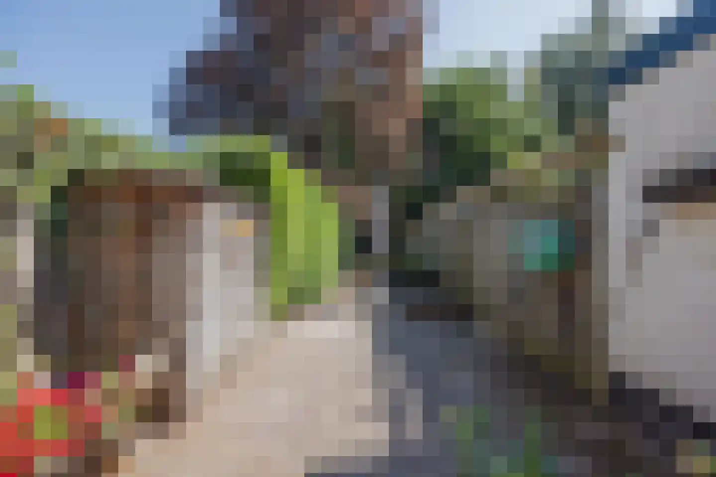 Julianalaan 93 Raamsdonksveer thumbnail 39