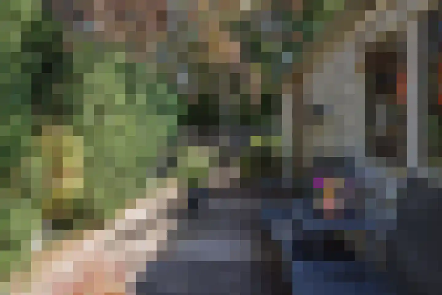 Julianalaan 93 Raamsdonksveer thumbnail 42