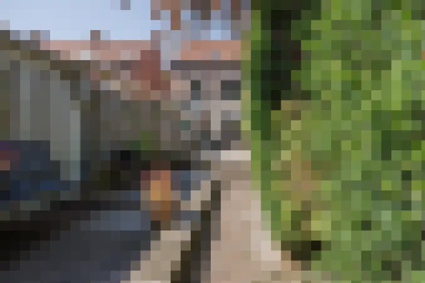 Julianalaan 93 Raamsdonksveer thumbnail 44