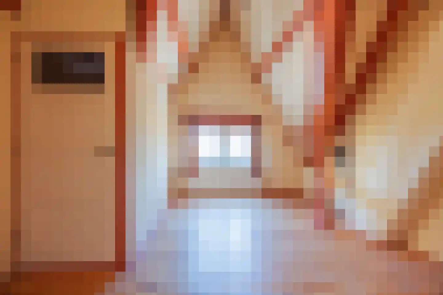 Julianalaan 93 Raamsdonksveer thumbnail 5