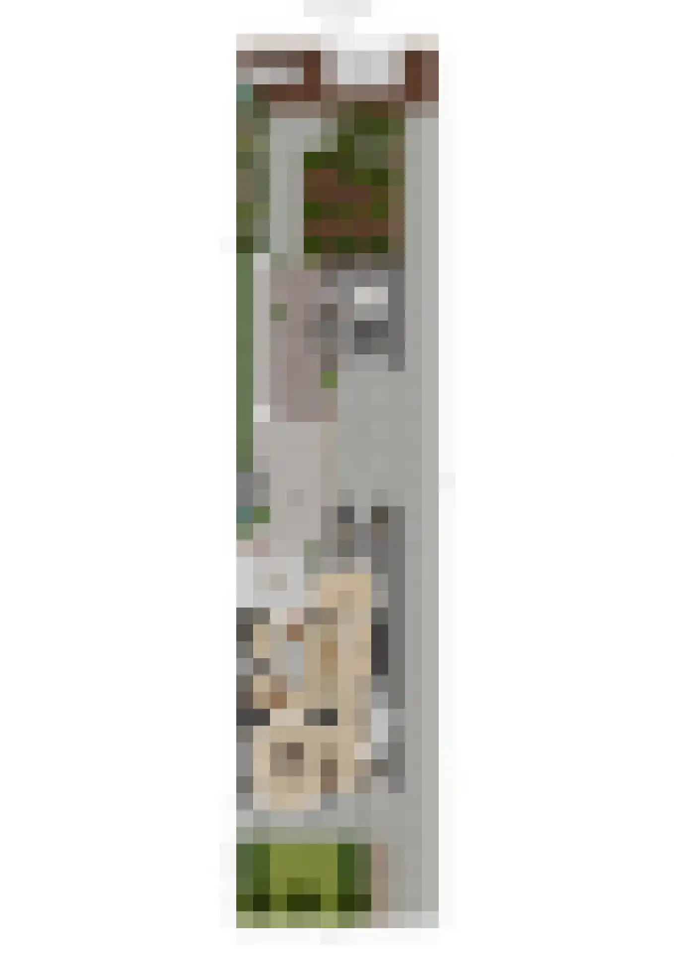 Julianalaan 93 Raamsdonksveer thumbnail 65