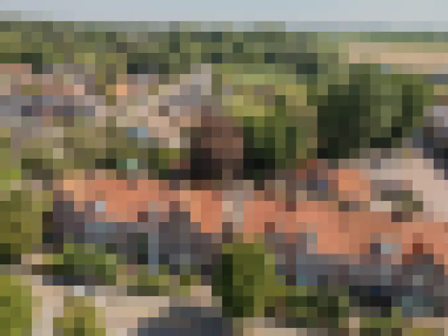 Julianalaan 93 Raamsdonksveer thumbnail 8