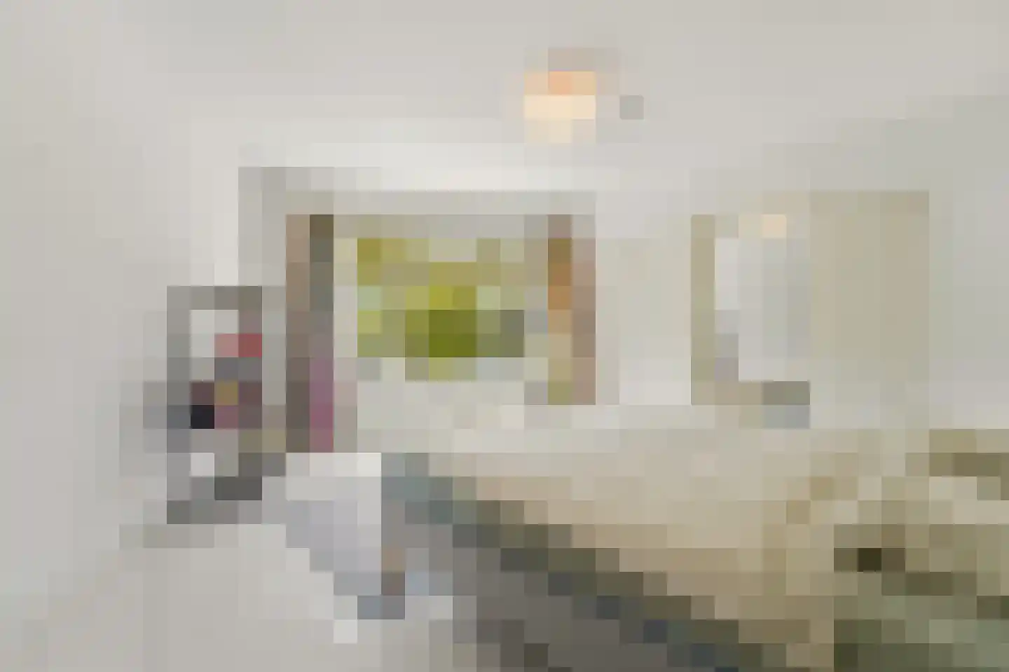 Julianalaan 96 Delft thumbnail 23