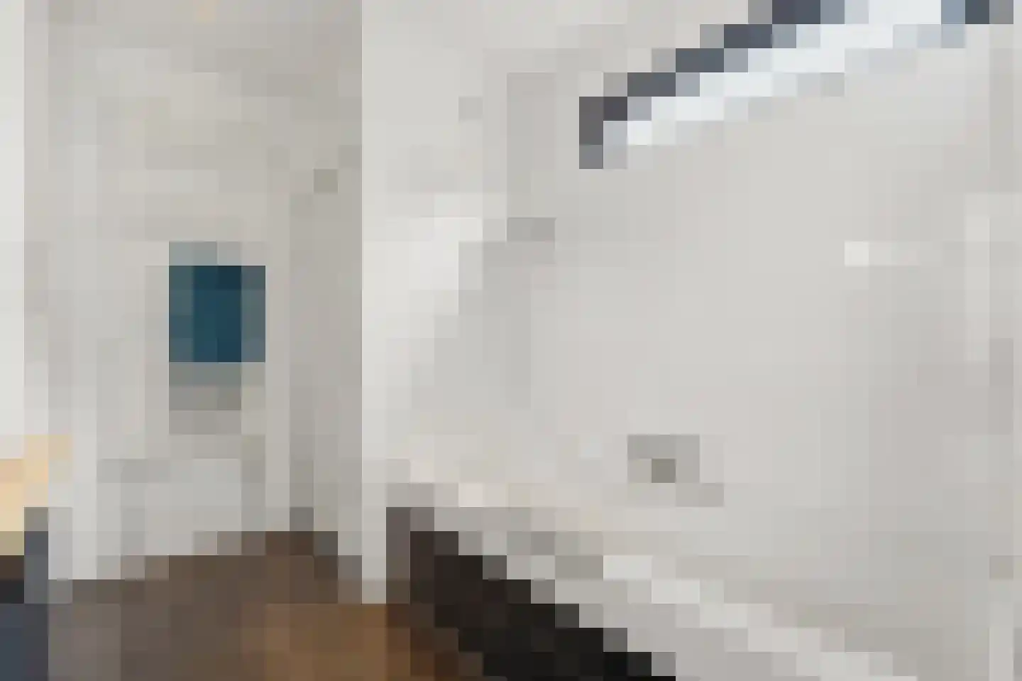 Julianalaan 96 Delft thumbnail 28