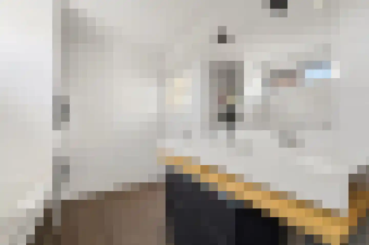 Julianalaan 96 Delft thumbnail 29