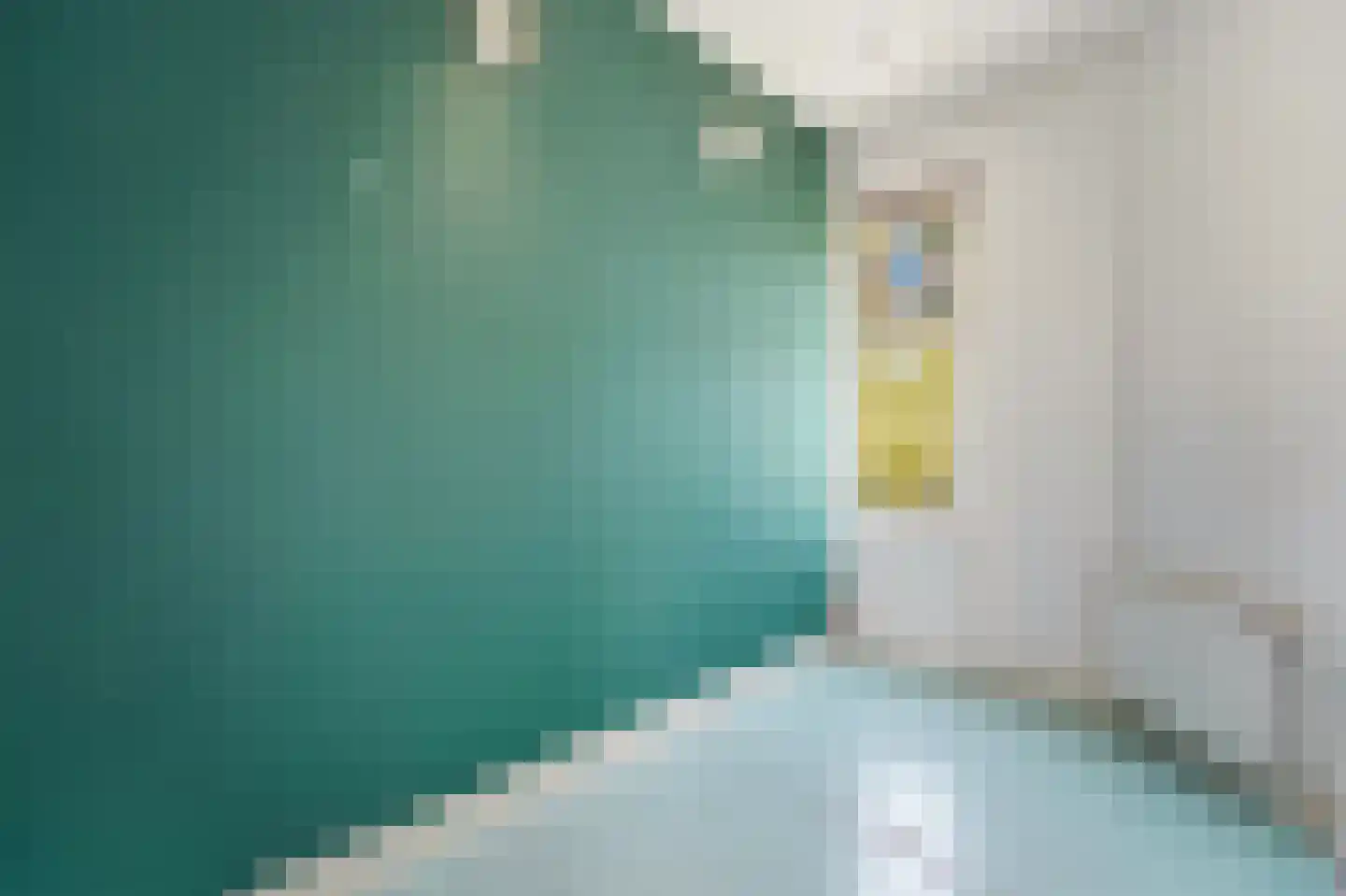Julianalaan 96 Delft thumbnail 36