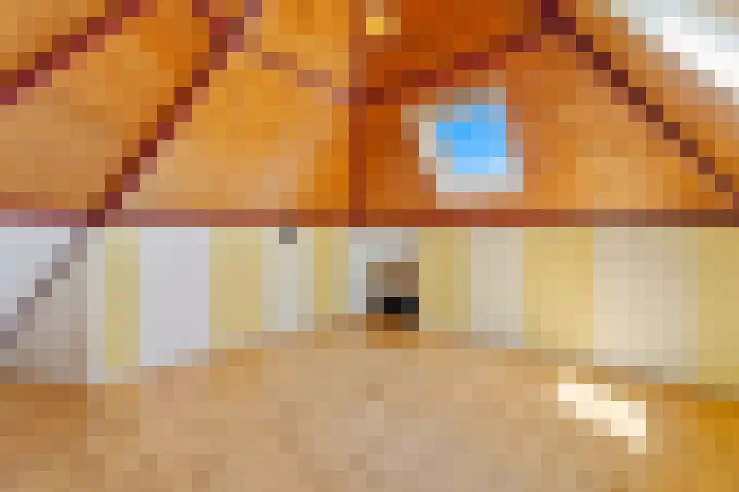 Julianalaan 96 Delft thumbnail 40