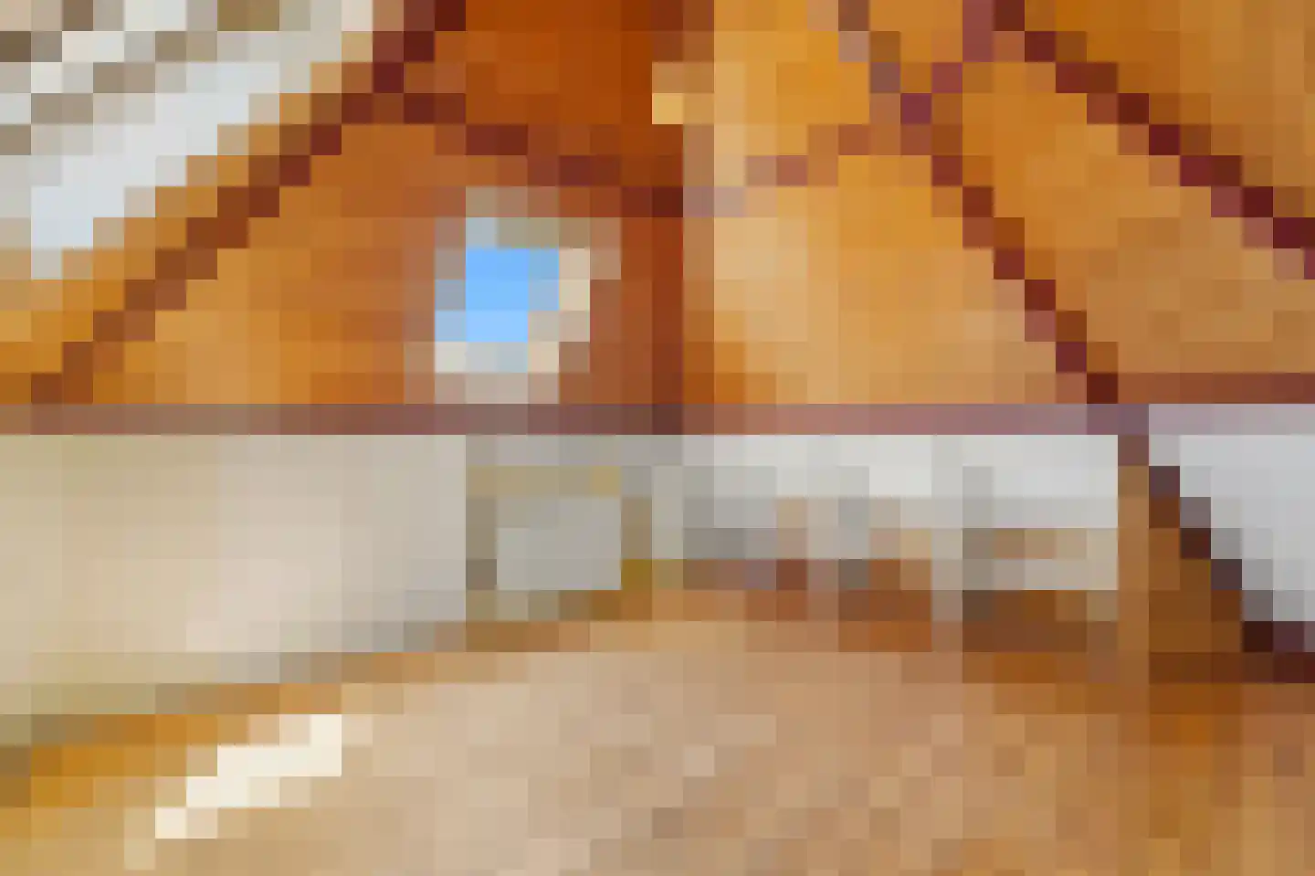 Julianalaan 96 Delft thumbnail 41