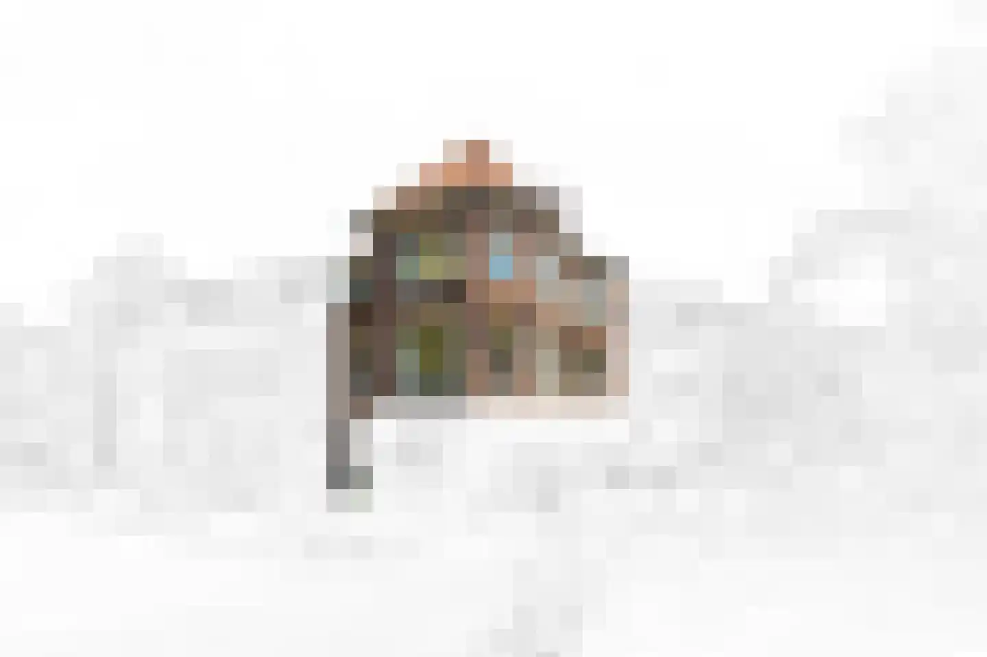 Julianalaan 96 Delft thumbnail 46