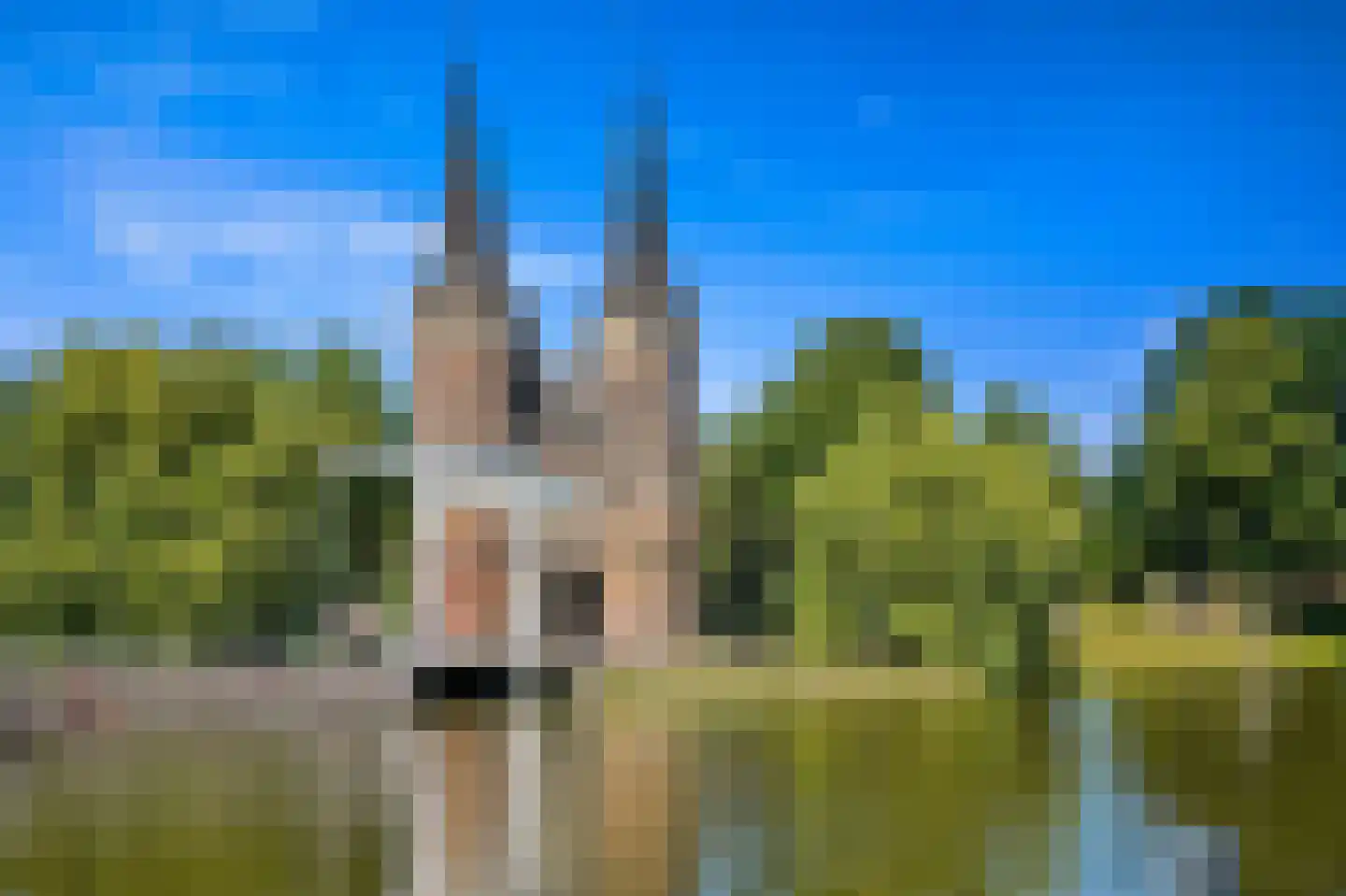 Julianalaan 96 Delft thumbnail 52